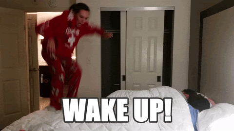 Gif of two people in bed, where another grown man is jumping on the very end of the bed with his shoes on. Overlaid text reads "WAKE UP."
