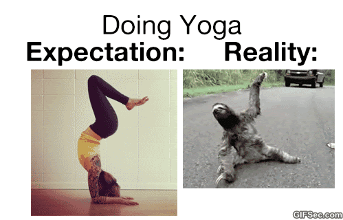 Animated gif with text that says "Doing Yoga: Expectation / Reality." Expectation is a woman doing a perfect shoulder stand. Reality is a sloth collapsing from a sitting position to lying down.