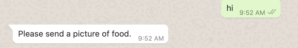 screenshot of WhatsApp conversation saying "please send a picture of food"