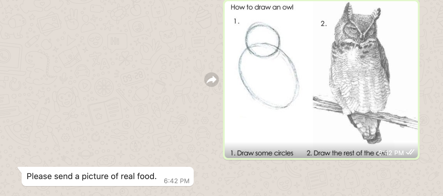 screenshot of user sending picture of owl drawing and WhatsApp responds with "please send a picture of real food."