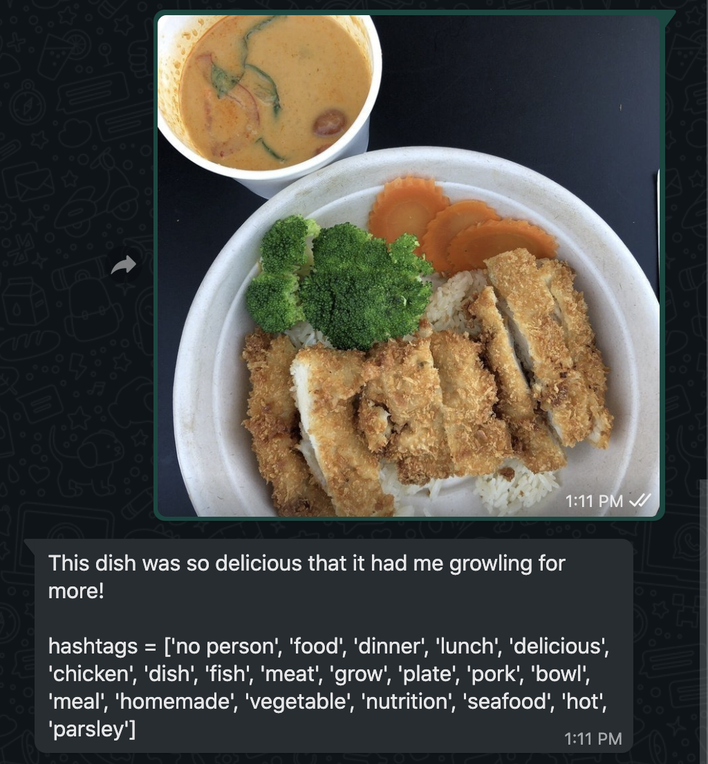 screenshot of the caption generator app analyzing a picture of the curry and creating a caption for it along with relevant hashtags
