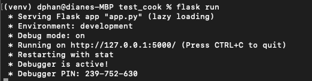text output of flask app on terminal after running "flask run"
