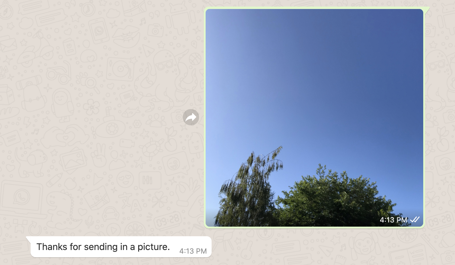 screenshot of whatsapp conversation of a picture of a sky and a thank you message