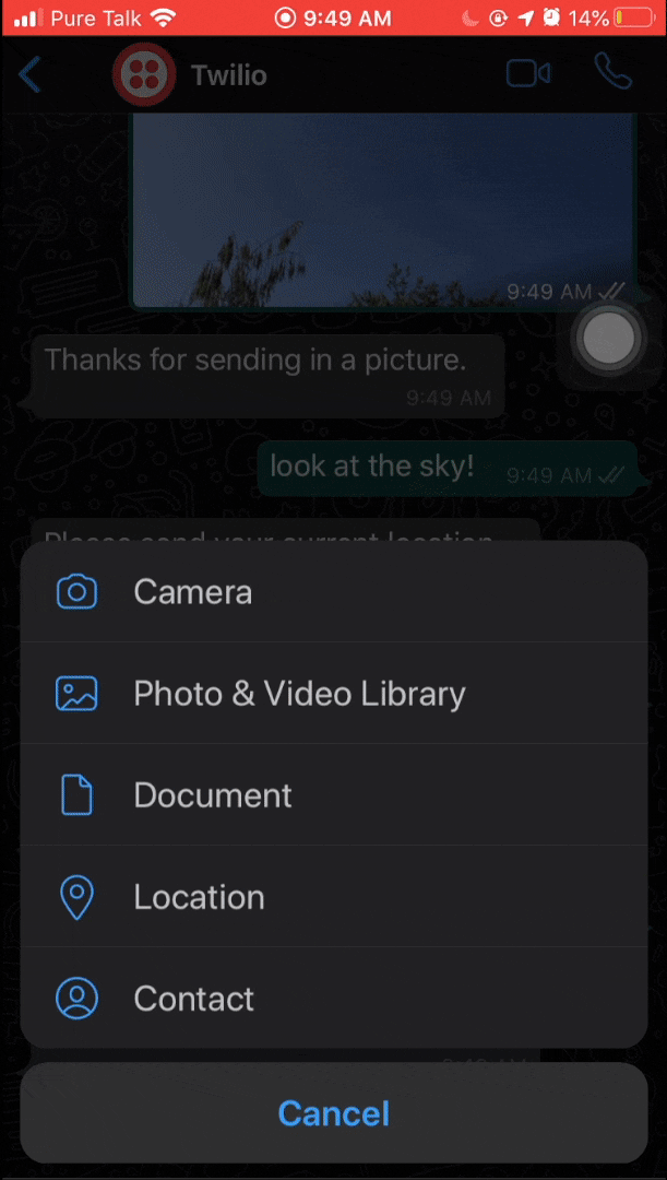gif of "Look at the Sky!" project of sending in a WhatsApp message