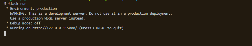 flask run output