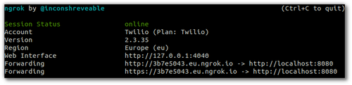 Screenshot der ngrok-Ausgabe, die die HTTPS-Weiterleitungs-URL zeigt