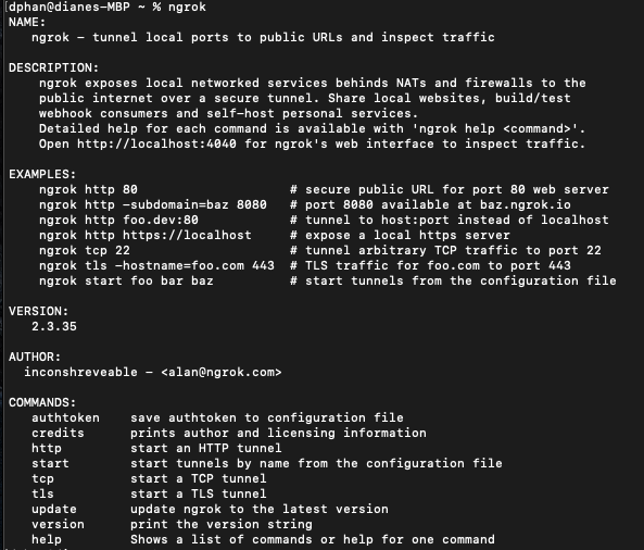 example of ngrok output on terminal