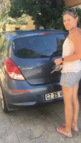 animated gif of AT LEAST 10, possibly more, puppies (beagles maybe?) running out of the trunk of a car.