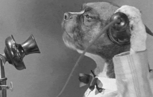 animated black and white gif of two dogs in bow ties "speaking" on old-fashioned telephones.