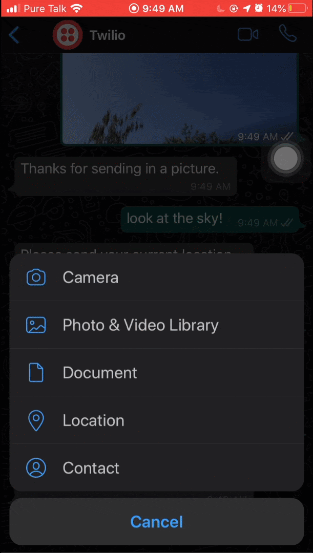 gif do projeto 'olhe para o céu!' enviando uma mensagem do WhatsApp
