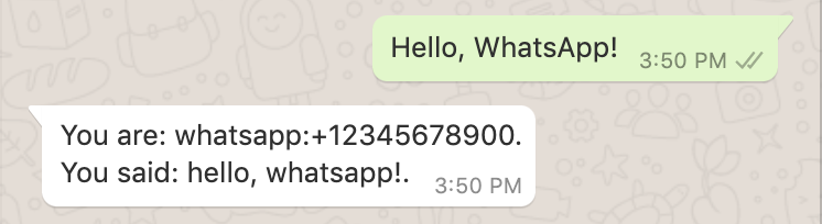 whatsapp demo