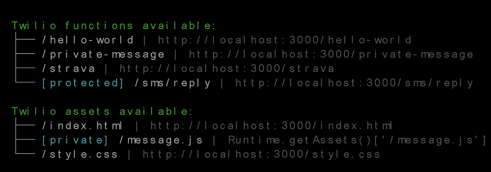 Twilio Function URLs in terminal