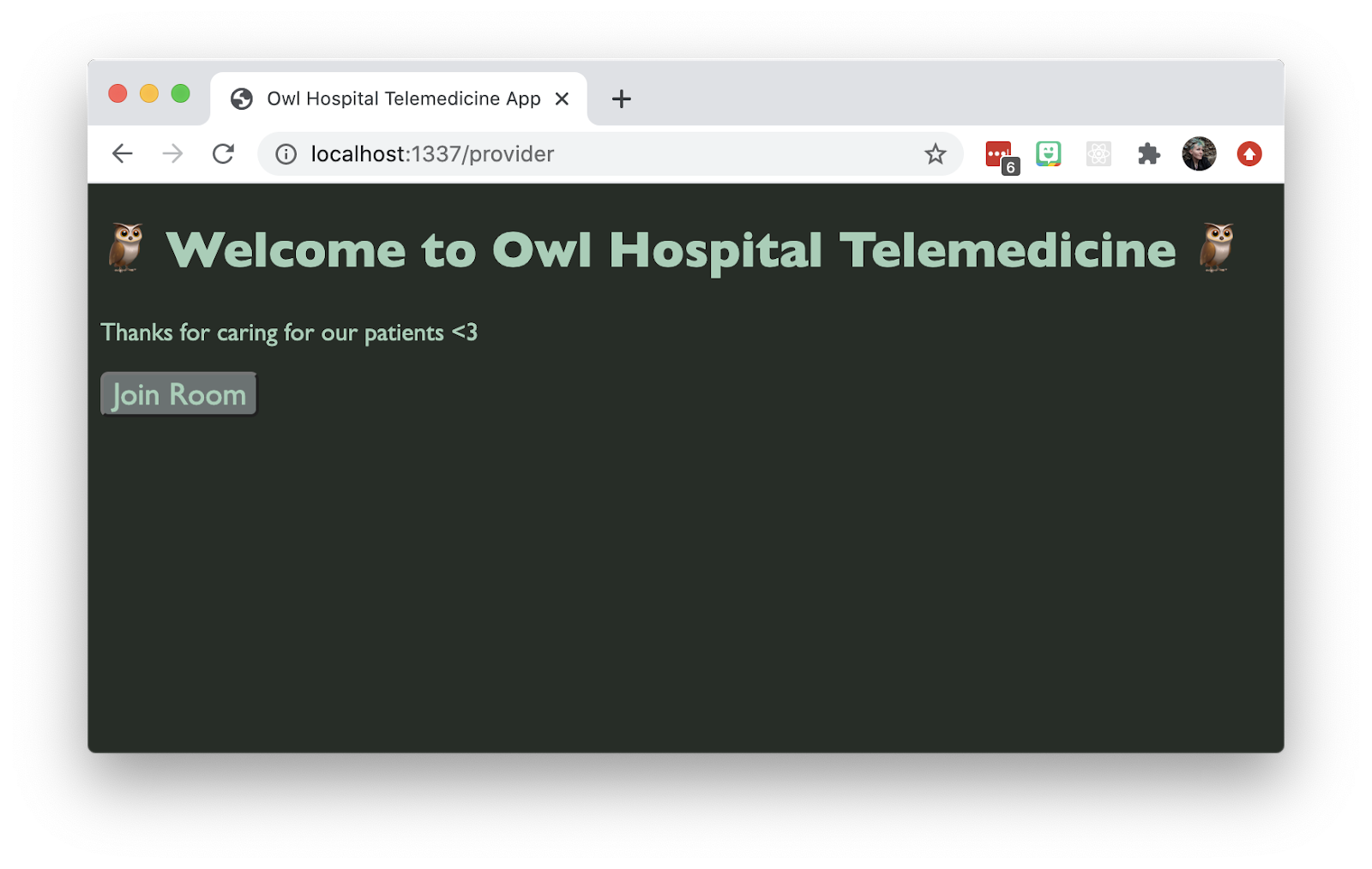 Screenshot of a Twilio Video application. The big text says "Welcome to Owl Hospital Telemedicine." Small text says "Thanks for caring for our patients." There&#x27;s one button that says "Join Room." Also it&#x27;s got a green/woodsy color palette going on.