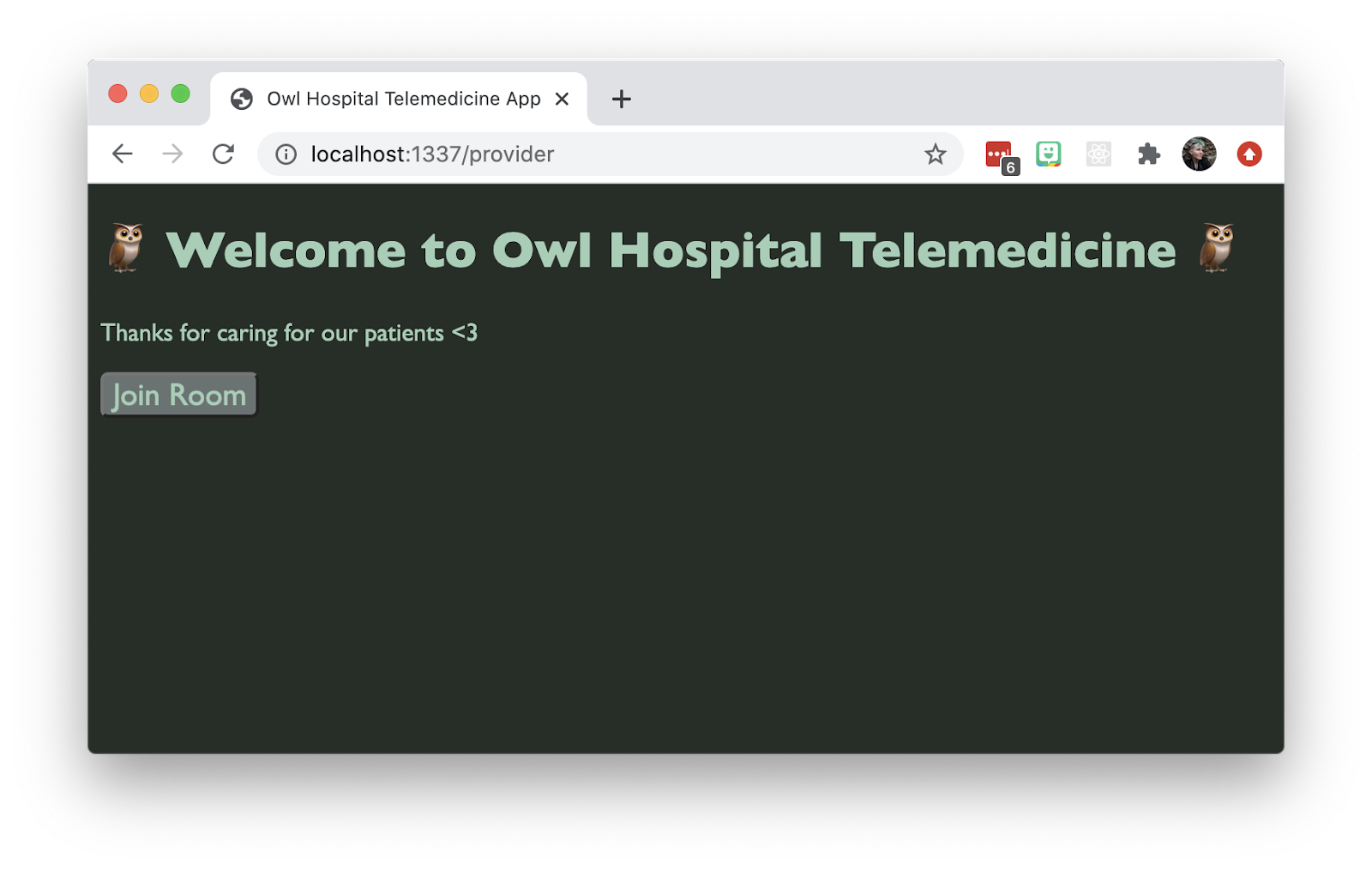 Screenshot of a Twilio Video application. The big text says "Welcome to Owl Hospital Telemedicine." Small text says "Thanks for caring for our patients." There's one button that says "Join Room." Also it's got a green/woodsy color palette going on.