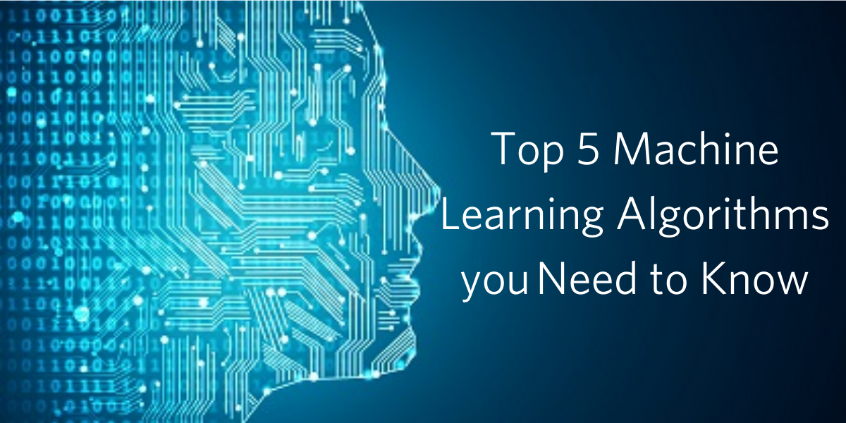 Top 5 ML algorithms you need to know