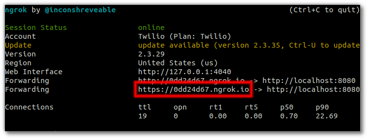 Screenshot of ngrok output