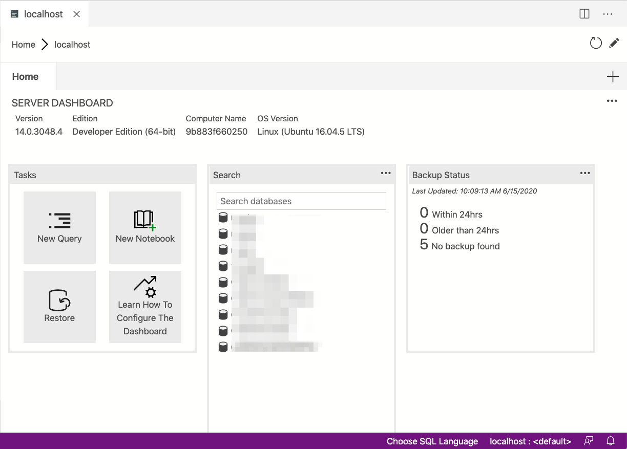 screenshot of connected databases in Azure Data Studio