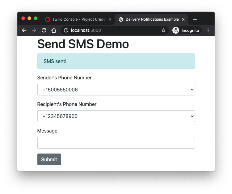 successful send sms example with test credentials