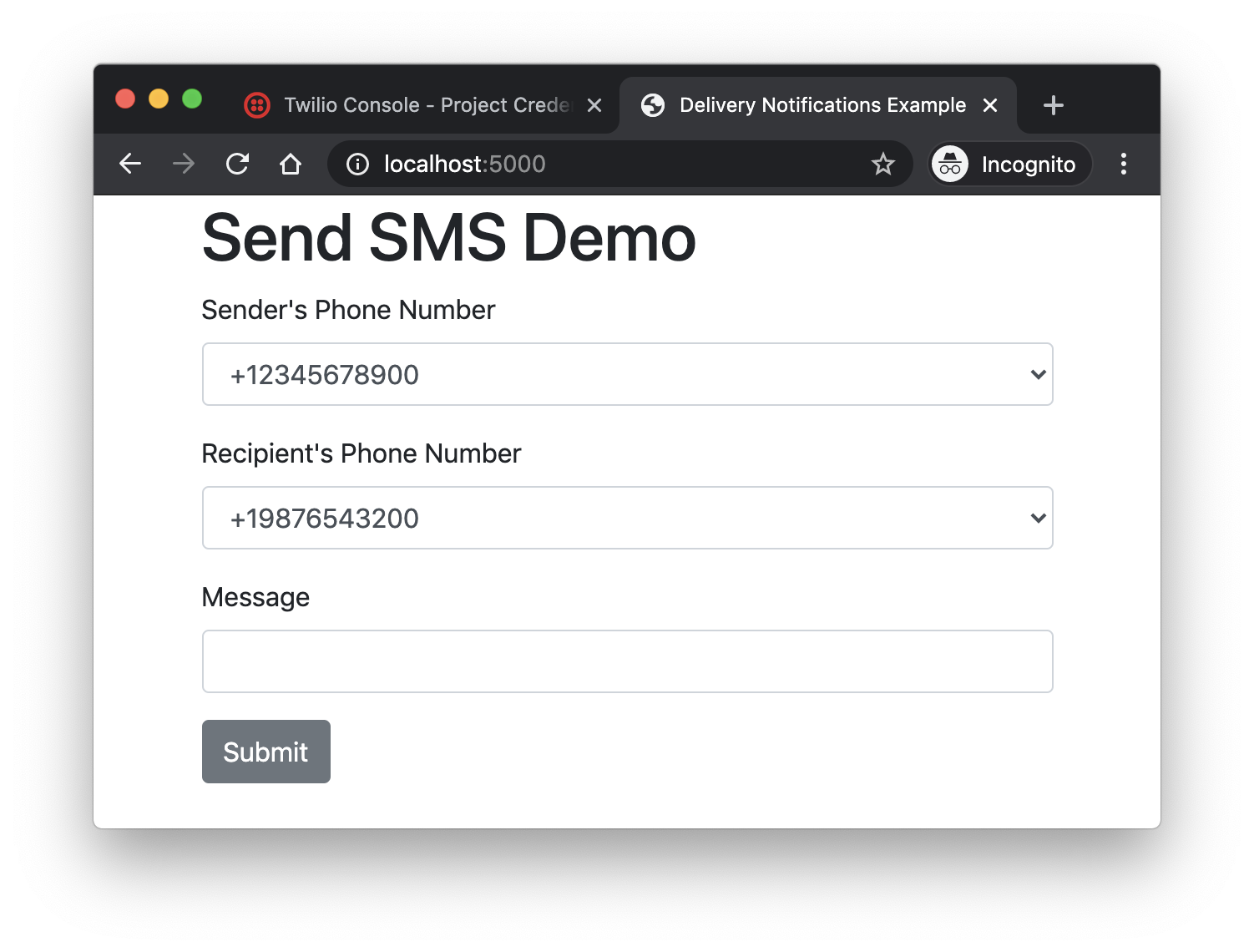send sms demo screenshot