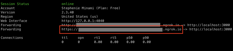 ngrok in terminal