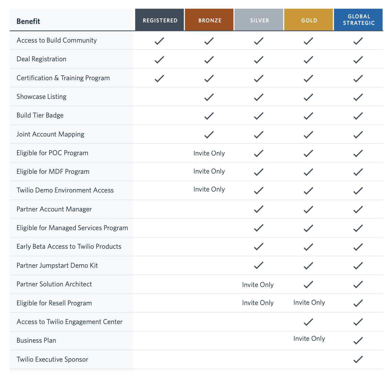 2021 Consulting Partner Program Tier Benefits