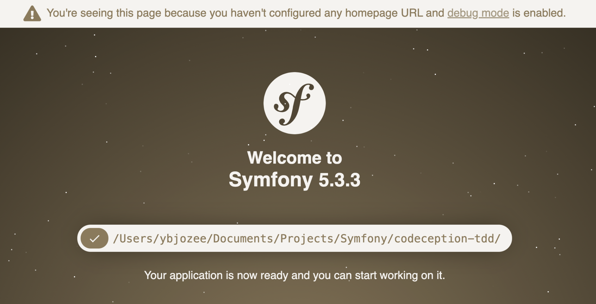 The default Symfony home page