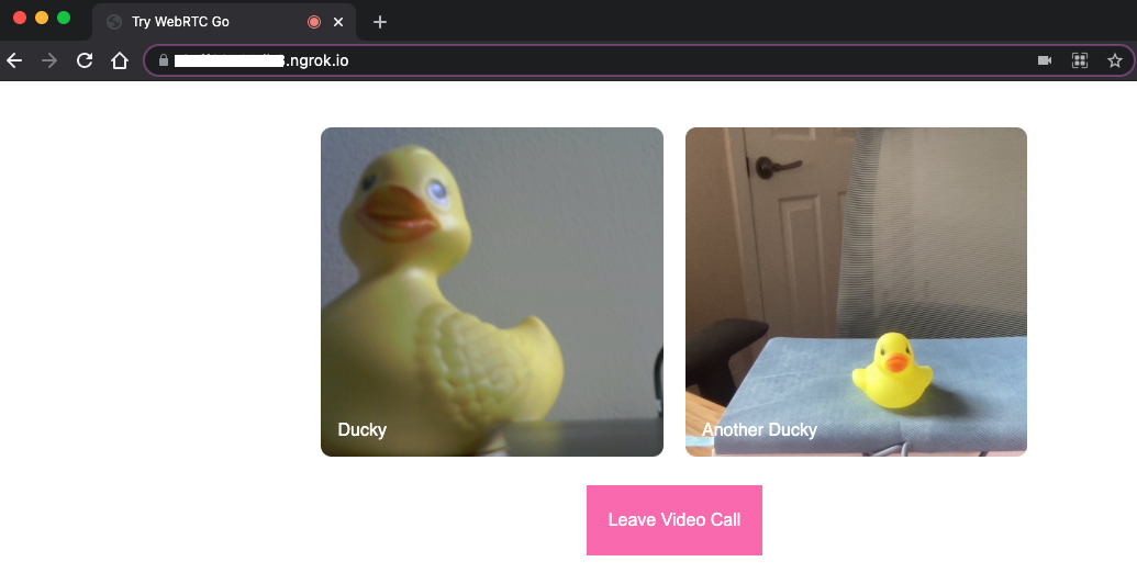 Video chat between Ducky and Another Ducky
