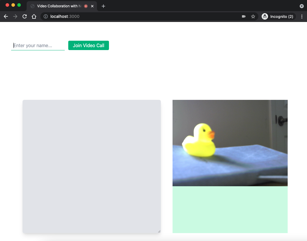 The application, with the empty notepad on the left and the video feed showing a yellow rubber duck on the right.