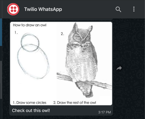 Console Twilio para WhatsApp mostrando uma imagem cuja mensagem diz: &#x27;check out this owl!&#x27; (veja esta coruja!)