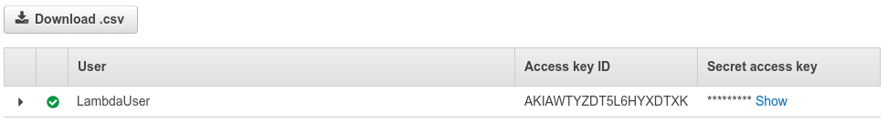 IAM new user: LambdaUser