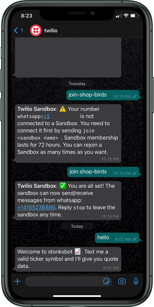 imagem de um iPhone com a mensagem de confirmação da sandbox e a primeira mensagem do bot de ações