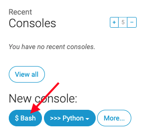 PythonAnywhere consoles