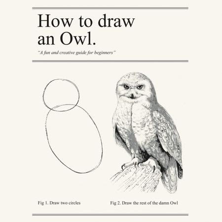 Guide on how to draw an owl