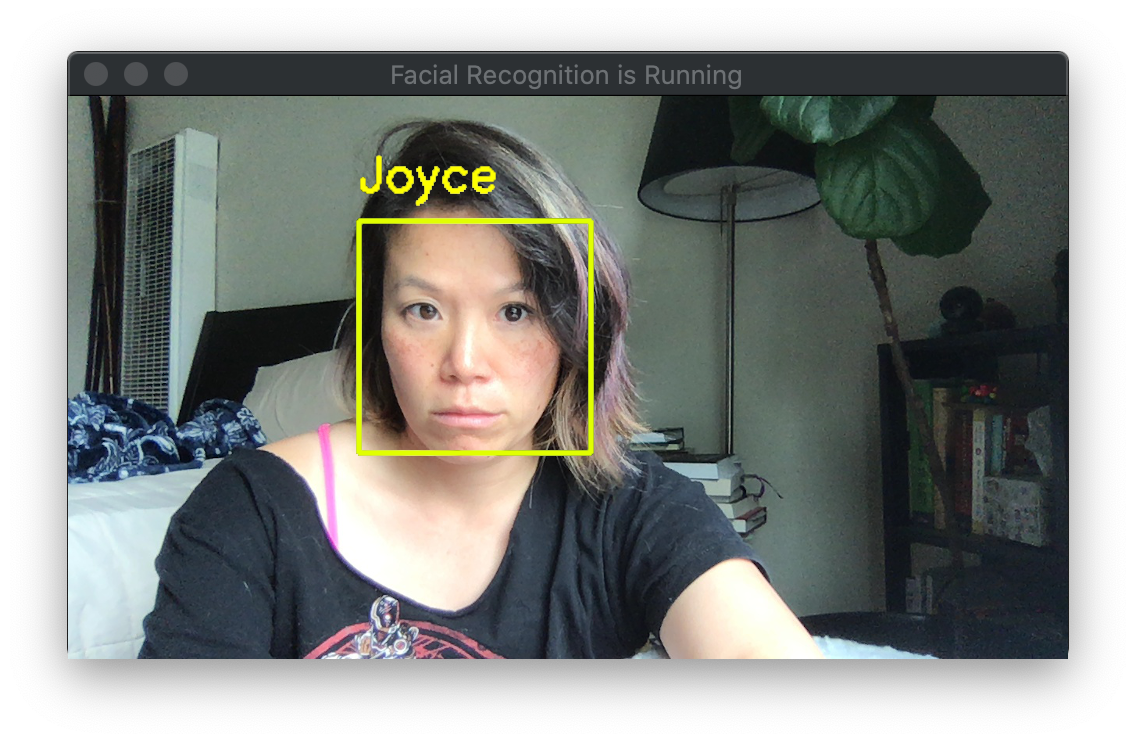 Face recognition demonstration