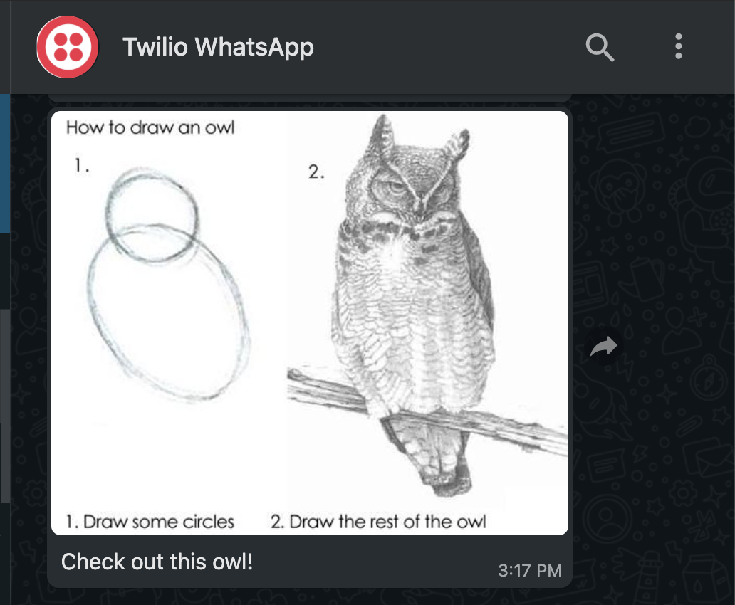 Twilio WhatsApp console with an image and message "check out this owl!"