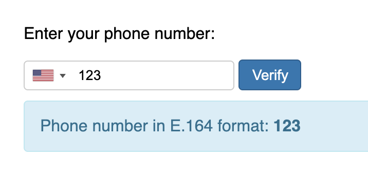 Invalid phone number input