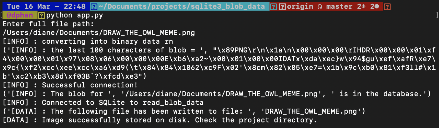 screenshot of example print statement output to see on the terminal about blob file data