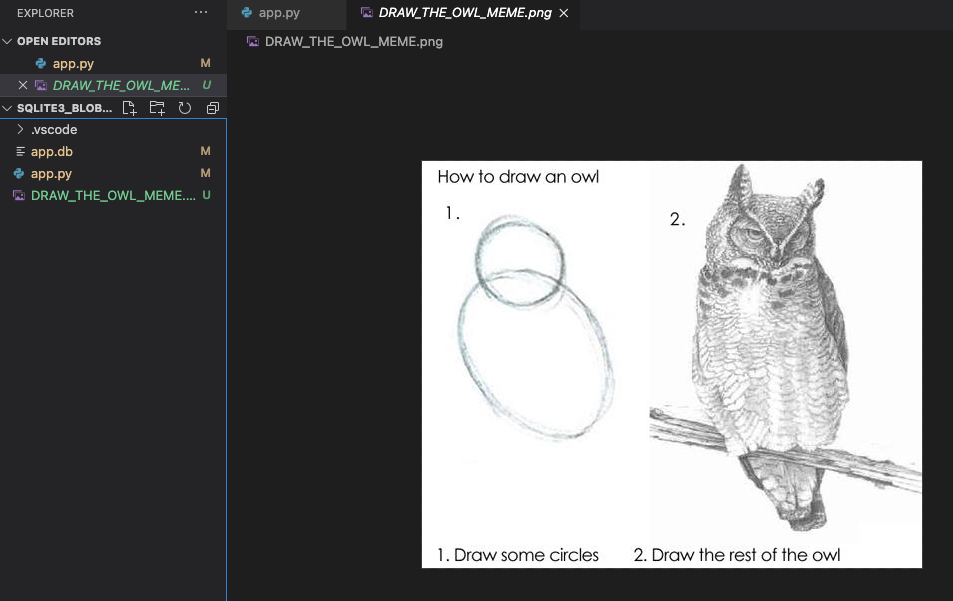 screenshot of the project directory with the "draw an owl" meme image