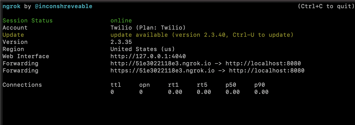 image showing the output of running the "ngrok http 8080" command with forwarding URLS