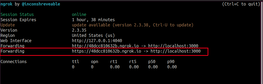 Ngrok output