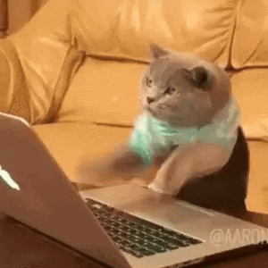 gif of cat typing