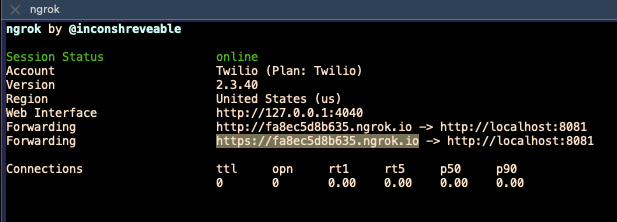 ngrok in the terminal