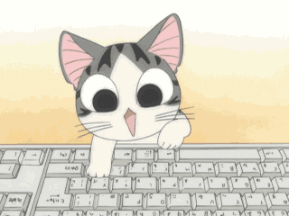 gif of animal cat typing on the keyboard