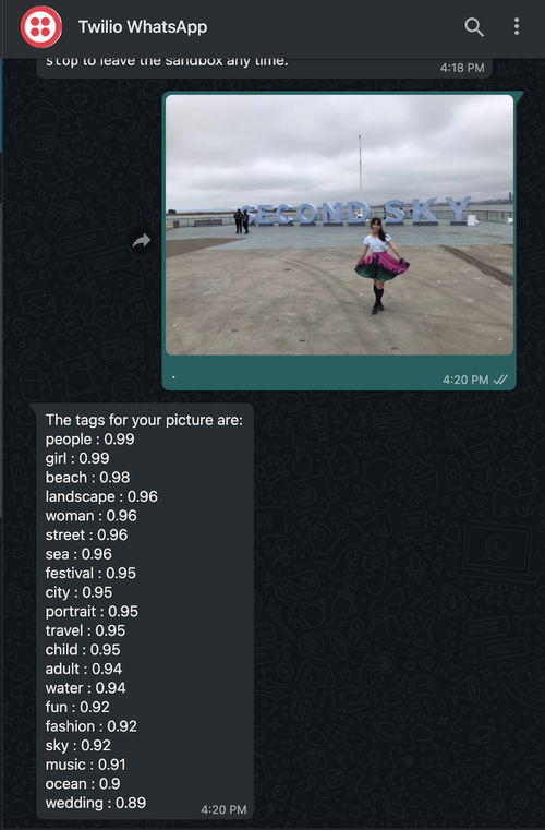 Capture d'écran WhatsApp des valeurs de prédiction et des étiquettes de concept pour une photo de diane lors du second sky music festival