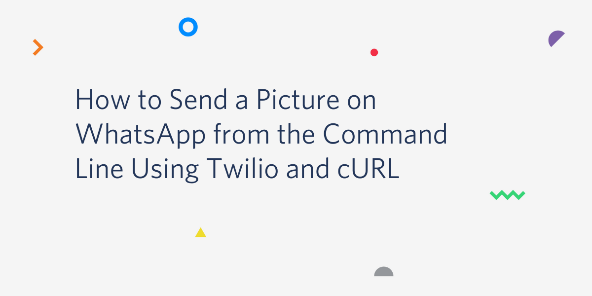 How to Send a Picture on WhatsApp from the Command Line Using Twilio and cURL