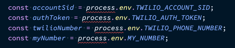 A screen shot of the code we wrote earlier assigning variables from process.env. process is underlined in red.