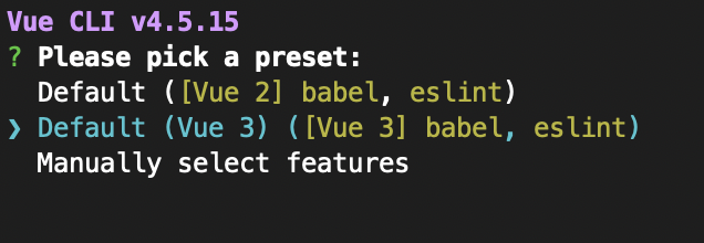 A screenshot of the Vue cli preset options in the console 