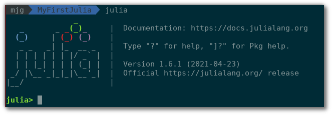 The Julia REPL.