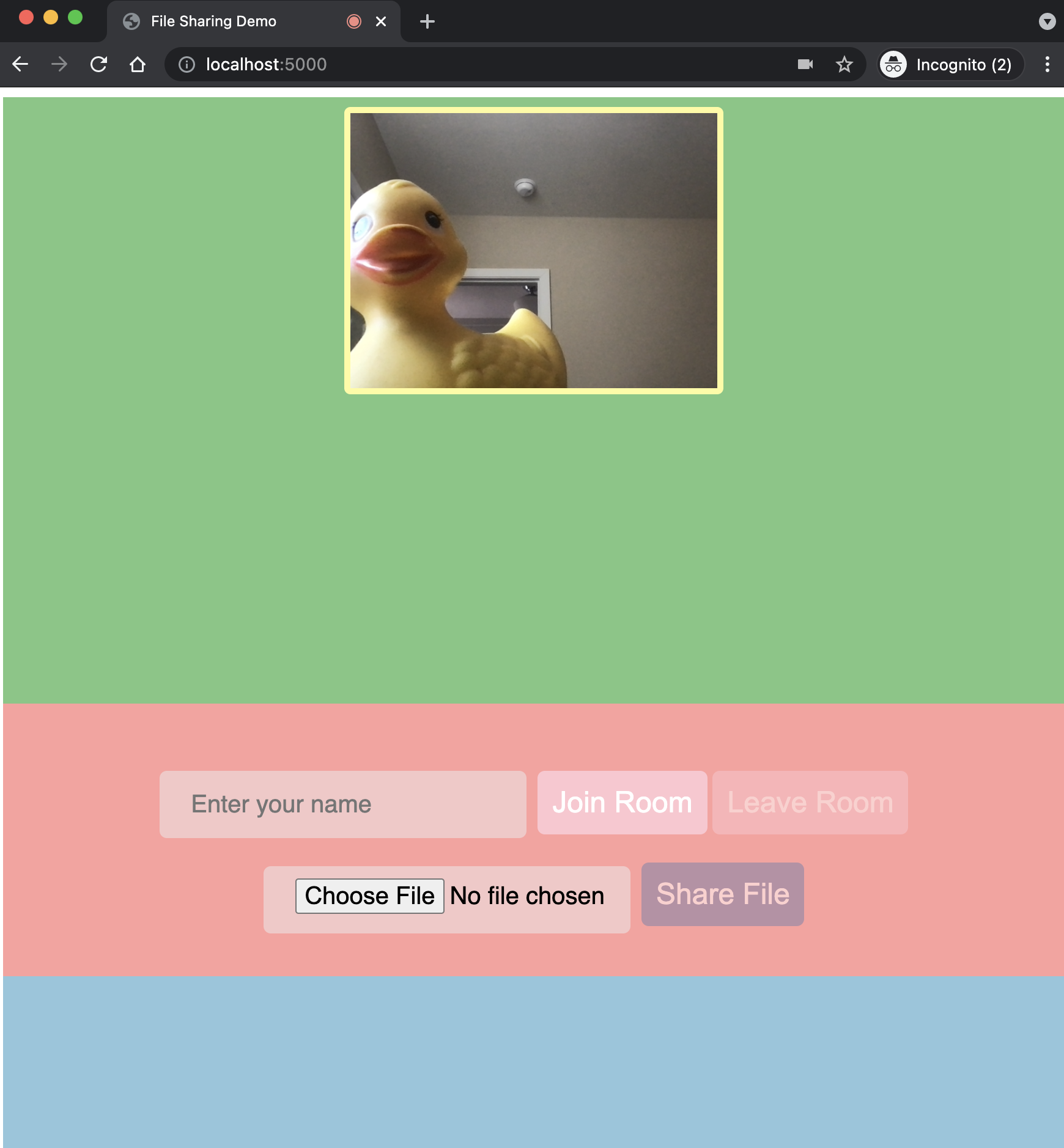 Video application with a preview of the local user's video feed.