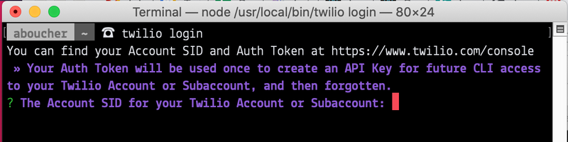 Capture d'écran du terminal montrant la commande de connexion à Twilio